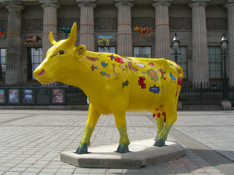 Cash Cow. Click for previous image.