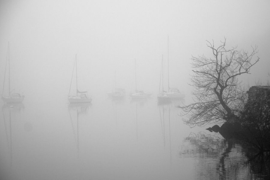 Fog on the lake. Click for previous image.